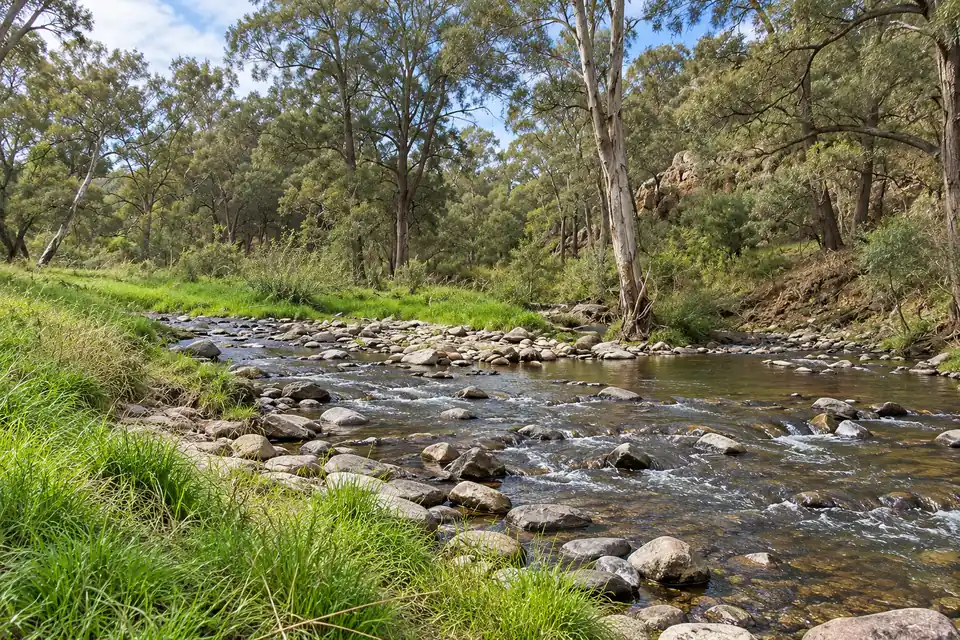 The creeks at Ophir Reserve