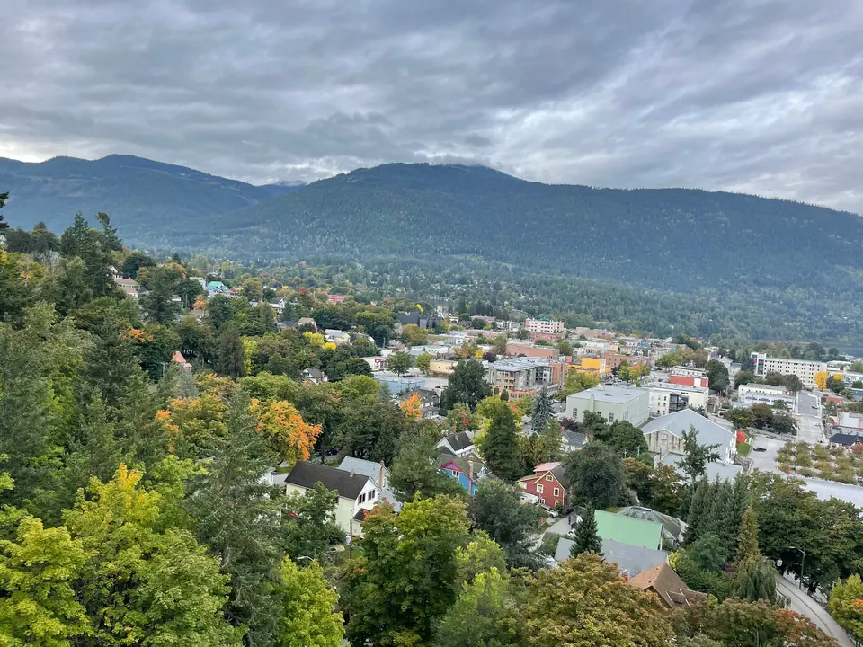 Nelson