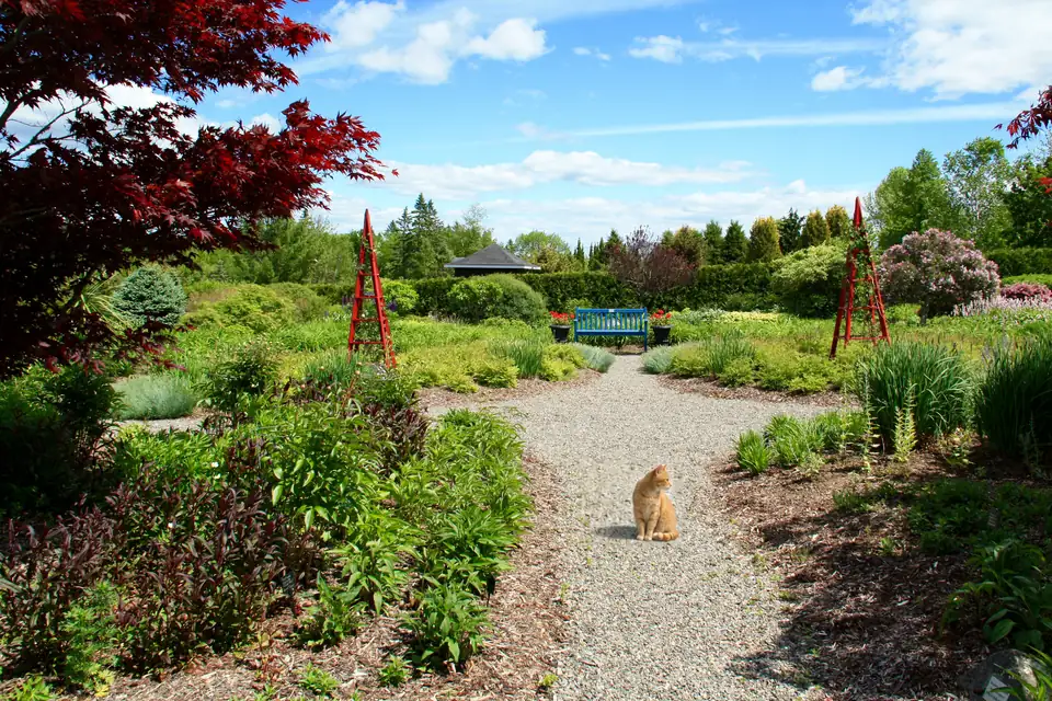 Kingsbrae Garden in summer