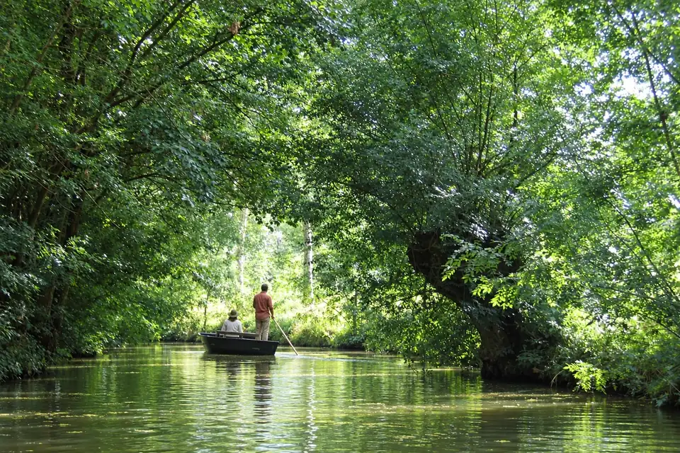 A boat on the canals of the Marais Poitevin