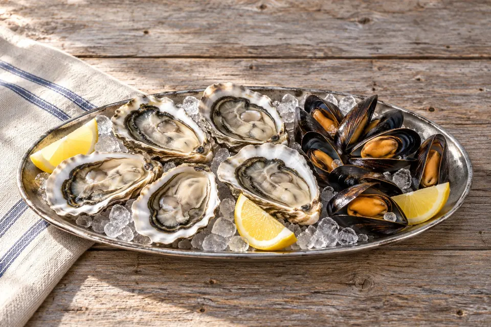 Atlantic oysters and mussels of the Charente coast