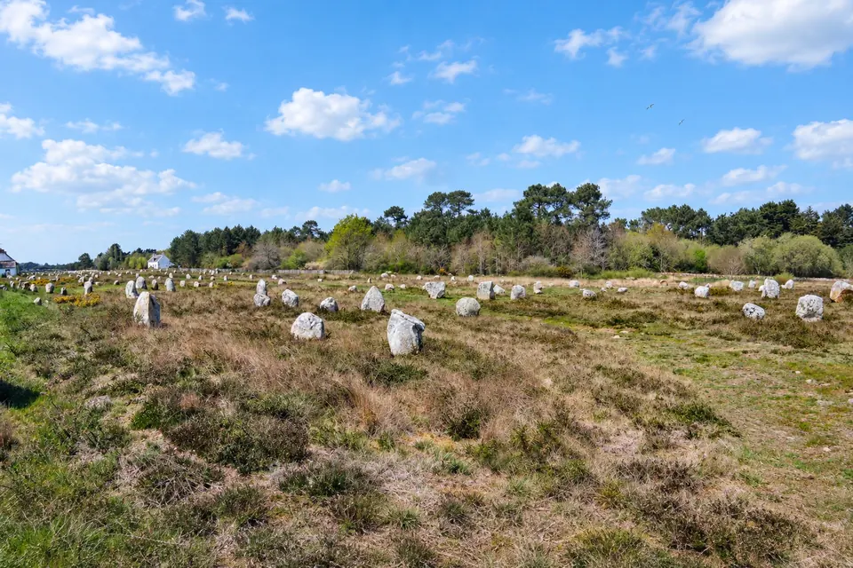 The standing-stone alignments at Carnac