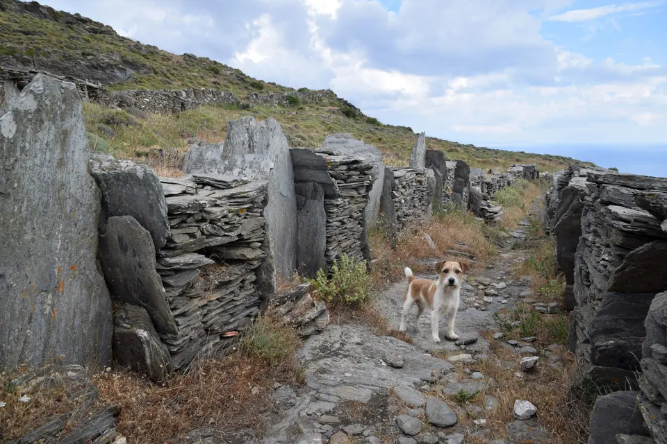 A waymarked stone path through terraces and drystone walls