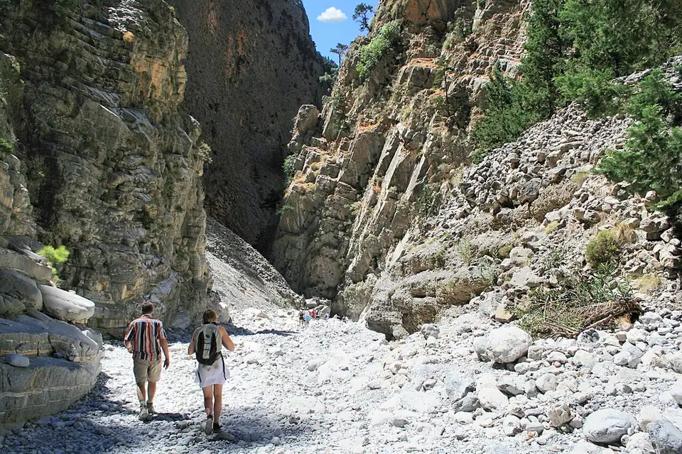 The gorge narrows, in the White Mountains