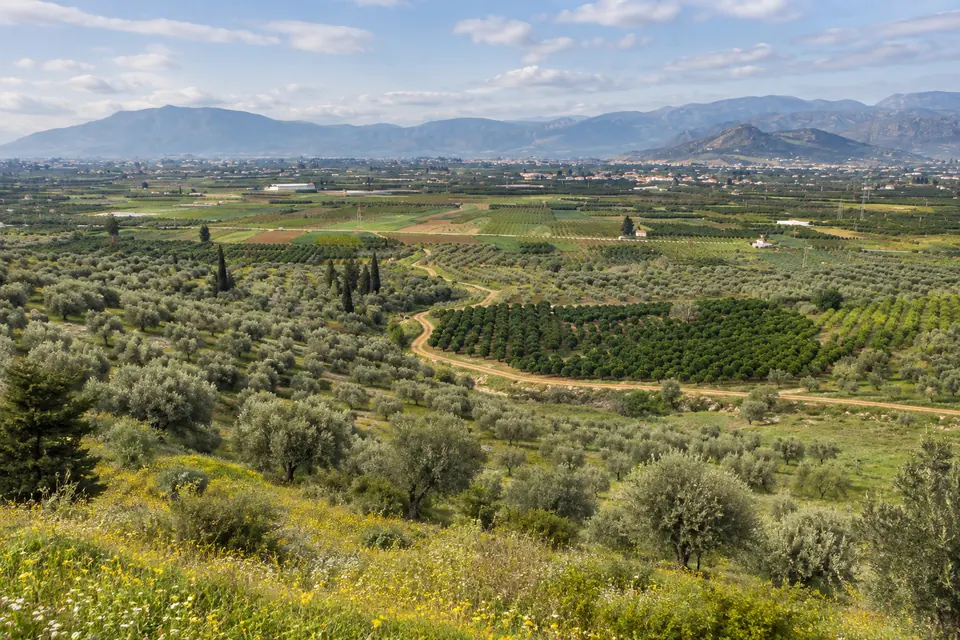 The groves of the Argive plain, and the dry hills behind