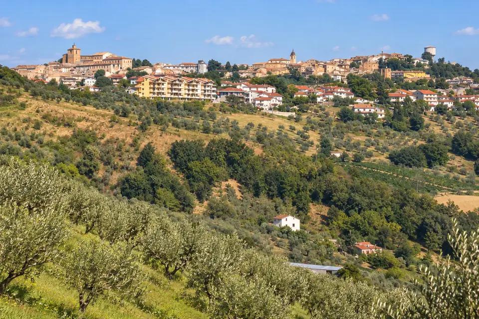 Olive hills below Penne