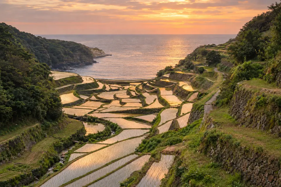 Hamanoura rice terraces at sunset