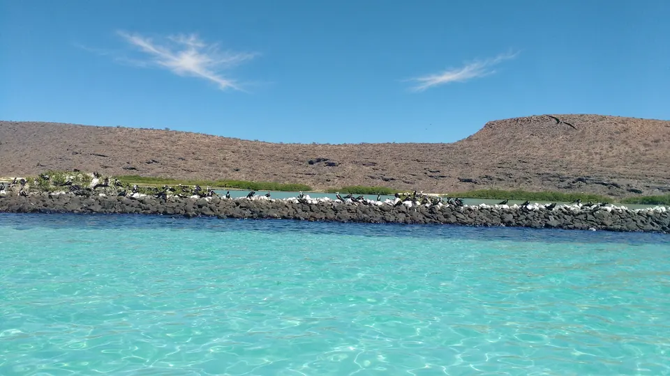 The shore of Isla Espíritu Santo