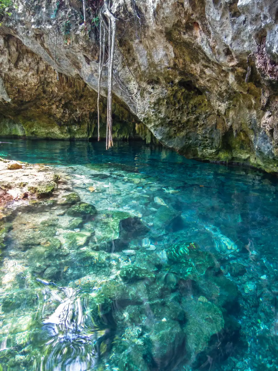 The Gran Cenote near Tulum