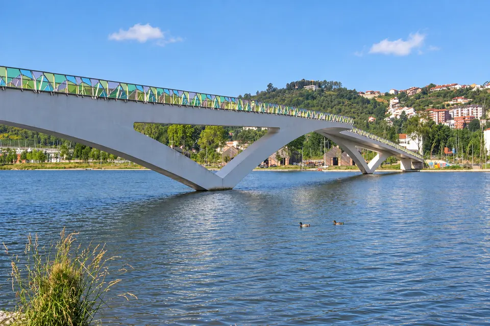 The Mondego, the Parque Verde and the Pedro e Inês bridge
