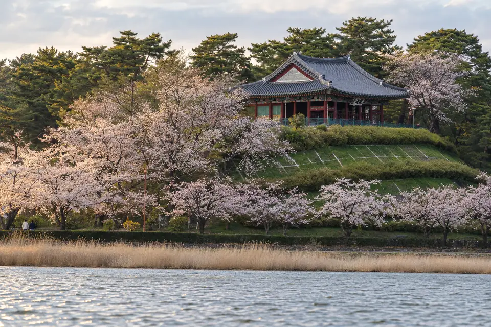 Gyeongpo lake and the Gyeongpodae pavilion