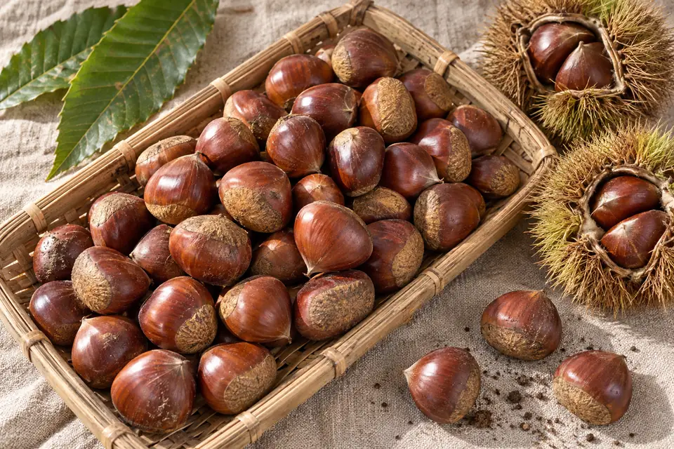 Jeongan chestnuts