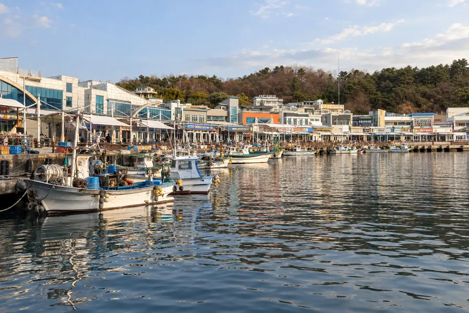 Daepo port and its fish market