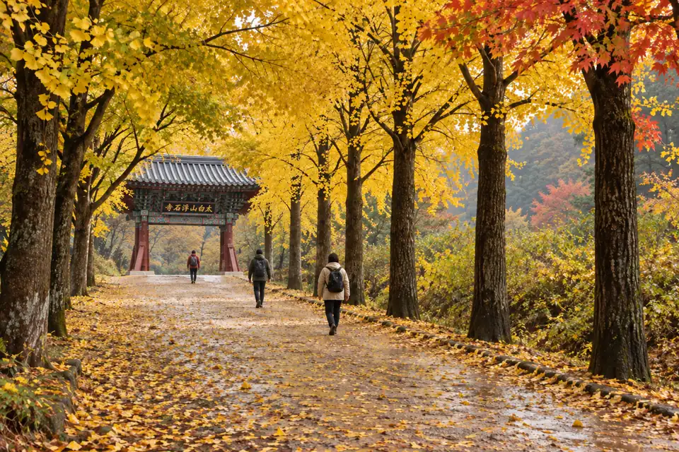 The ginkgo avenue up to Buseoksa in autumn gold