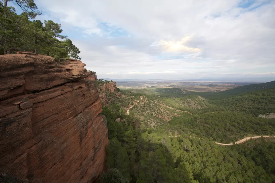 The red-sandstone pine country