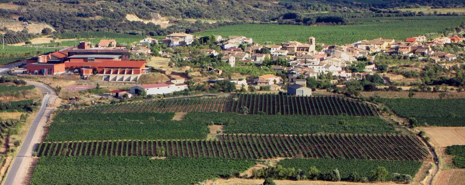 Somontano vineyards around Barbastro